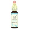 Bach Original Flower Remedies, Rock Water, 0.35 fl oz (10 ml) - 3 of 4