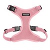 Voyager Step-In Lock Adjustable Dog & Cat Harness and 5ft Leash Combo - 2 of 4