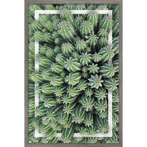 Trends International Cactus - Group Framed Wall Poster Prints - 1 of 4