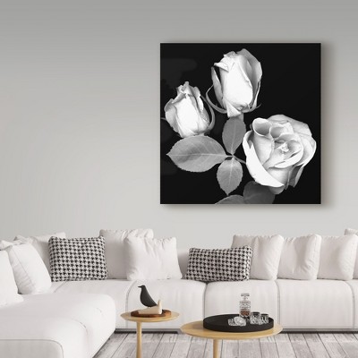 Black and White Rose Canvas Print, 14x14