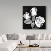 Trademark Fine Art -Susan S. Barmon 'Three Roses Black And White' Canvas Art - 3 of 3