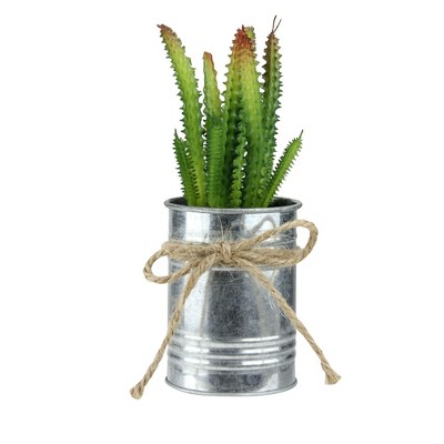 Northlight 7" Ombre Cactus Artificial Potted Plant - Green/Silver