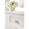 Amerock Kane Cabinet or Furniture Knob - 2 of 4
