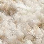 aqua, white, ivory, dark brown, gold