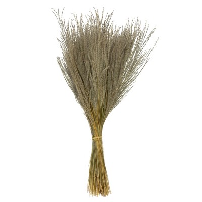Vickerman 14-20" Natural Snowdrop Grass, 3 oz, Dried