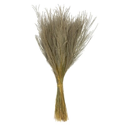 Vickerman 14-20" Natural Snowdrop Grass, 3 oz, Dried