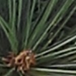 large square-shaped basin