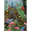 Cobble Hill 1,000 Piece Jigsaw Puzzle - Birds of the Forest (Poster Included), Ages 12 and Up - 2 of 2
