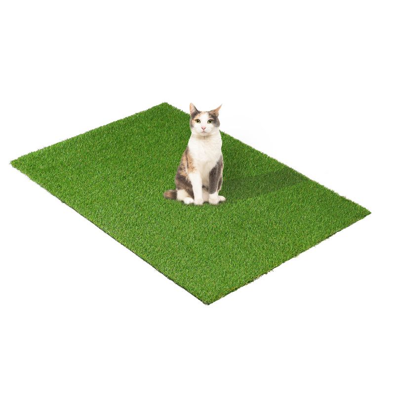 Artificial Grass Synthetic Lawn Indoor/ Outdoor Turf Area Rug by Blue Nile Mills, 3 of 9