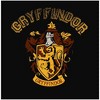 Harry Potter Gryffindor Black T-Shirt Toddler Boy to Youth Boy - 2 of 3