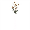 Thistle Pod Branch (Set of 6) - 4 of 4