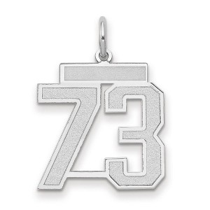 Black Bow Jewelry 14k White Gold, Jersey Collection, Medium Number 73 Pendant - 1 of 3