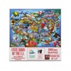 Sunsout State Birds of the U.S. 1000 pc   Jigsaw Puzzle 58649 - 3 of 4