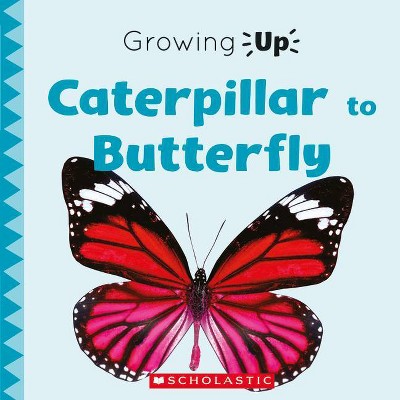 Caterpillar to Butterfly (Growing Up) (Library Edition) - (Explore the Life Cycle!) by  Stephanie Fitzgerald (Hardcover)