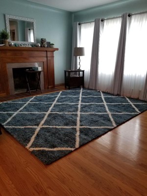 Nourison Brisbane Aqua Shag Area Rug : Target