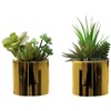 Artificial Plant, 7" Tall, Succulent, Indoor, Faux, Fake, Table, Greenery, Potted, Set Of 2, Decorative, Green Plants, Glossy Gold Pots - 3 of 4