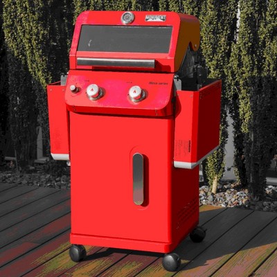 Mesa Series Red Stainless Steel 2-Burner Propane Gas Grill