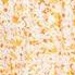 yellow flower