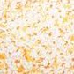 yellow flower