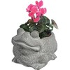 Classic Home and Garden Cement Buddies Indoor/Outdoor Planter with Drainage Hole, Frog - 2 of 4