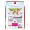 PURINA ONE SmartBlend Vibrant Maturity 7+ Formula Adult Premium Dry Dog  Food, 8-lb bag 