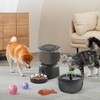 ZACHVO 3L Automatic Pet Feeder with Timer, Precise Portion Control, Moisture-Proof Storage and Voice Recording - 3 of 4