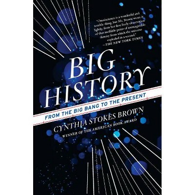 Big History - by  Cynthia Stokes Brown (Paperback)