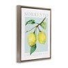 Stupell Industries Sorrento Lemon Branch Floating Frame Canvas Art - 2 of 4