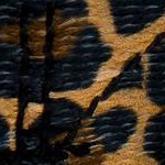 leopard print