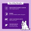 Every Day Naturals No Brush Small Dental Stick Flavored Chewy Dog Treats - 10oz - 3 of 4