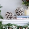 Whisen D5" Iced Twig Ball, Decorative Hanging Ball Christmas Tree Ornaments, Set of 4 - Brown - 2 of 4