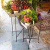 Multi-Purpose Folding Floor Iron Stand Black Powder Coat Finish - Achla Designs: Durable Outdoor & Indoor Planter Holder, No Assembly Required - image 3 of 4