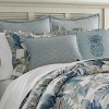 Queen 4pc Raw Coast Comforter Set Blue - Tommy Bahama : Target