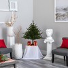 Nearly Natural 3-ft Colorado Mountain Pine Artificial Christmas Tree with 50 Lights. 171 Branches and Pine Cones - 4 of 4