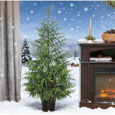 ORRD 2-Pack 4ft Christmas Tree Set, Norfolk Pine Artificial Xmas Tree with Pot Base, 133 Tips, Flame Retardant