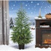 Bella Depot 2PCS Christmas Tree, 4 ft Norflok Pine Xmas Tree with 133 Molded Tips and Pot Base - 2 of 4