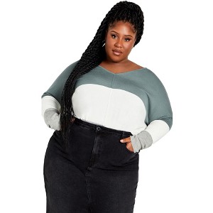 Avenue Women's Plus Size Sadie Colorblock Sweater - 1 of 4