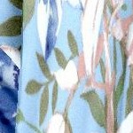 pale blue romantic rose