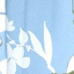 pale blue romantic rose