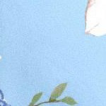 pale blue romantic rose