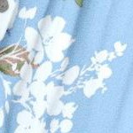 pale blue romantic rose