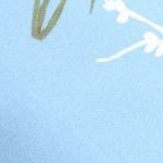 pale blue romantic rose