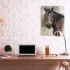 Stupell Industries Masculine Horse Portrait Western Brown Tan Stallion Painting - 2 of 3
