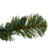 Northlight Pre-Lit Battery Operated Artificial Canadian Pine Christmas Wreath - 24" - Clear LED Lights - 3 of 4