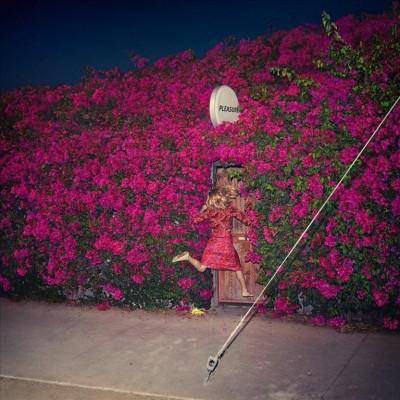 Feist - Pleasure (2 LP) (Vinyl)