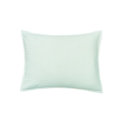 EY Essentials 20" x 26" Chander Sea Glass Cotton Standard Sham - Machine Washable
