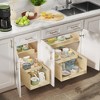 Double-Drawer Pull Out Cabinet Organizer 10½” W x 21” D Soft Close Cabinet Drawers Slide Out with Full Extension Rail Slides Cabinet Pull Out Shelves - 2 of 4