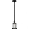 Quoizel Lighting Ludlow 1 - Light Pendant in  Earth Black - 2 of 3