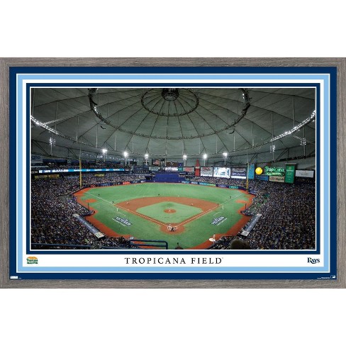 MLB Tampa Bay Rays - Logo 16 Wall Poster, 22.375 x 34 