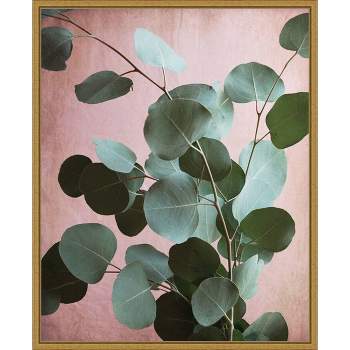 16" x 20" Sage Eucalyptus No.1 by Lupen Grainne Framed Canvas Wall Art - Amanti Art